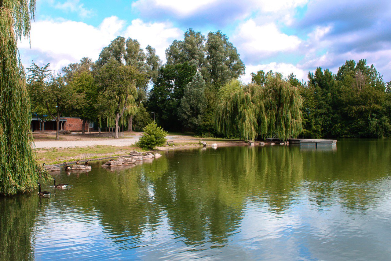 photo_2025-12-11_21-55-38