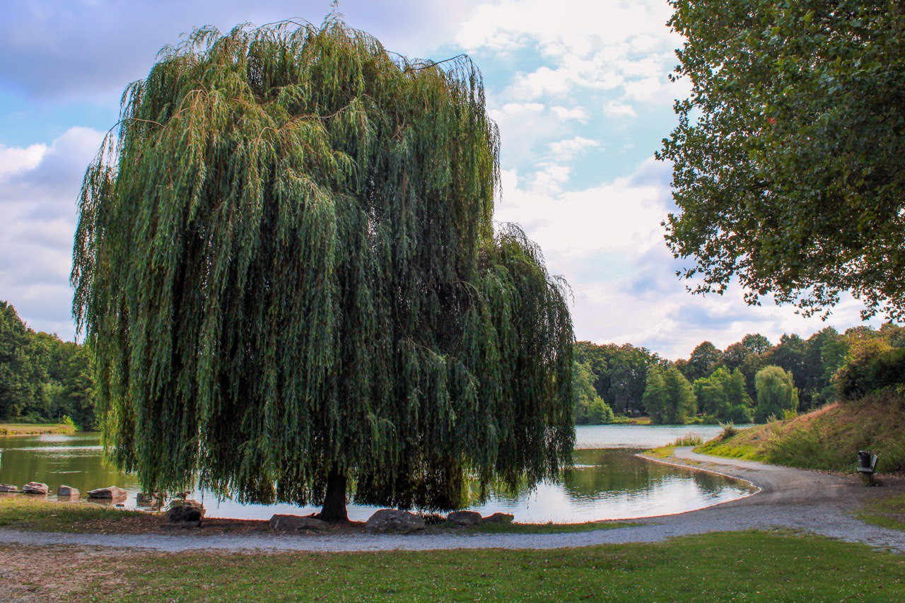 photo_2025-12-11_21-55-41